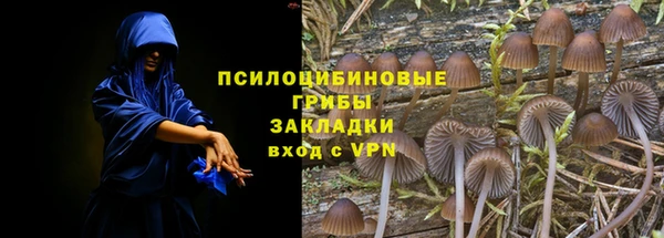 марихуана Белокуриха